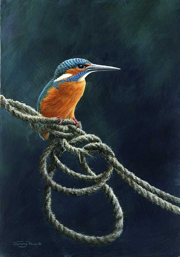 Kingfisher Castletown Harbour